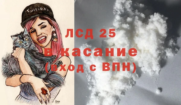 сатива Горно-Алтайск