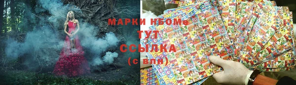сатива Горно-Алтайск